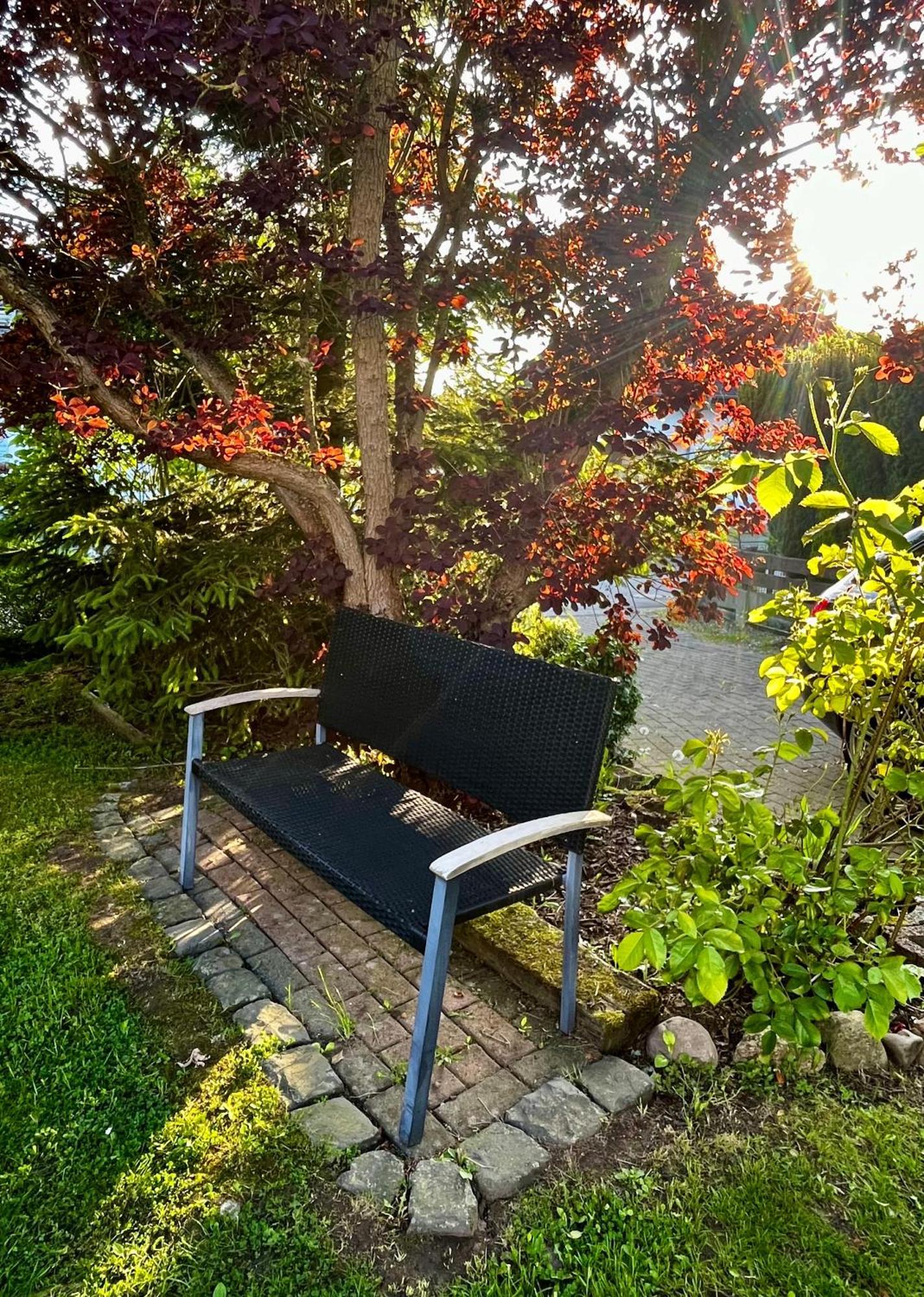 Spenge Ferienhaus Windmuehlenweg Mit Grossem Sonnigen Garten -Neu- מראה חיצוני תמונה